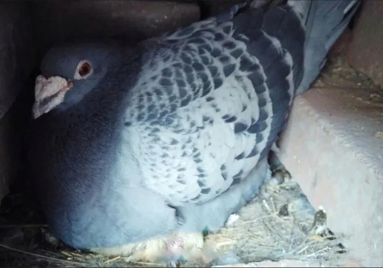 һ�����ִ����Ľ�ѵ����̰С����