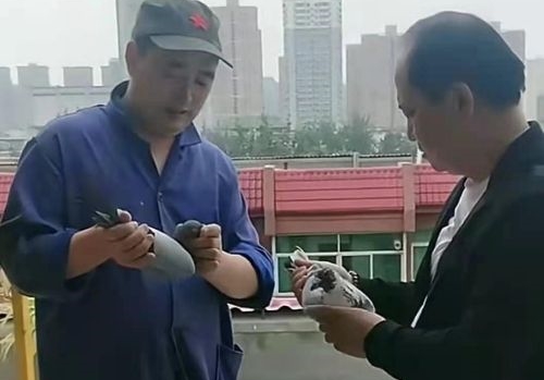 ���Ļƺӹ���2021���ո�����������
