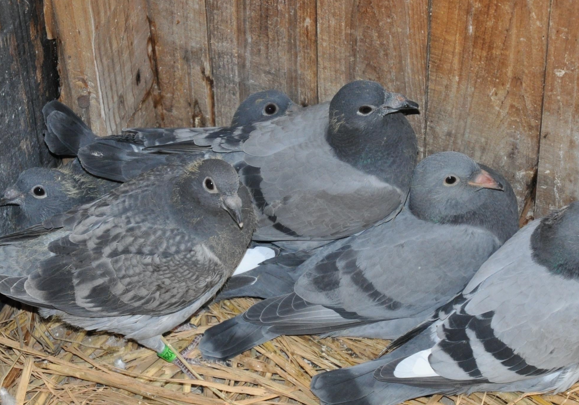 ���������ӮǮ�����ȵ��е���