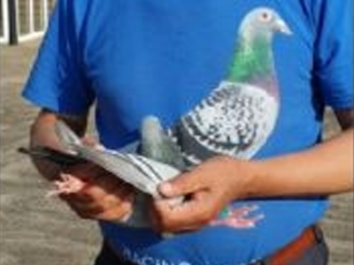 ����ˣ������Լ����й��Ÿ룡