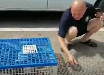 1500ﳬԶ̼16ֻ ɽʢշŲ