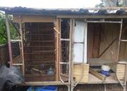 ���ý��ּܽ����� �ɱ��ż���