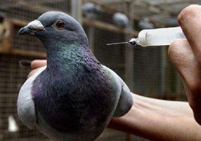 ���ִ������ ���������ֶ�