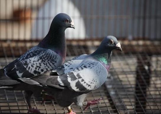 ���Ӻû����ú;���ҹ�