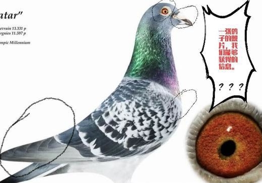��������Ҫ�͵�ס��į