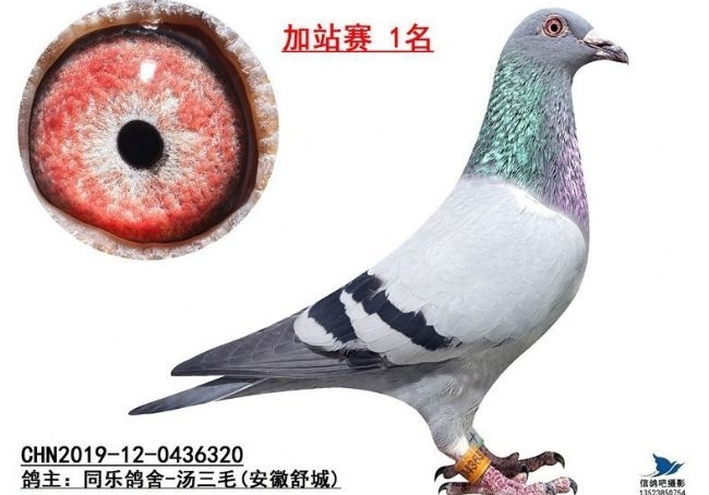 ��վ���ĸ��Ӷ���զ�� ��������ģ�