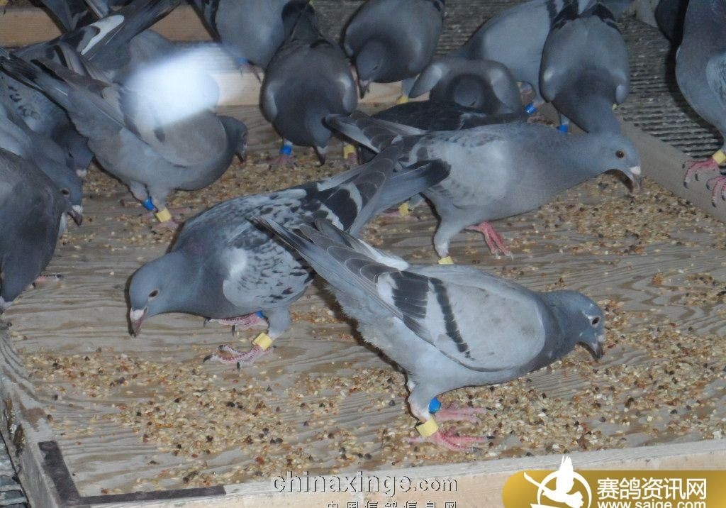 �رȻ������� ��ϸι�����ر�