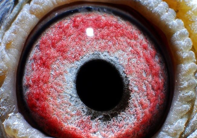 �𰸹�����ɽ�������ھ�������