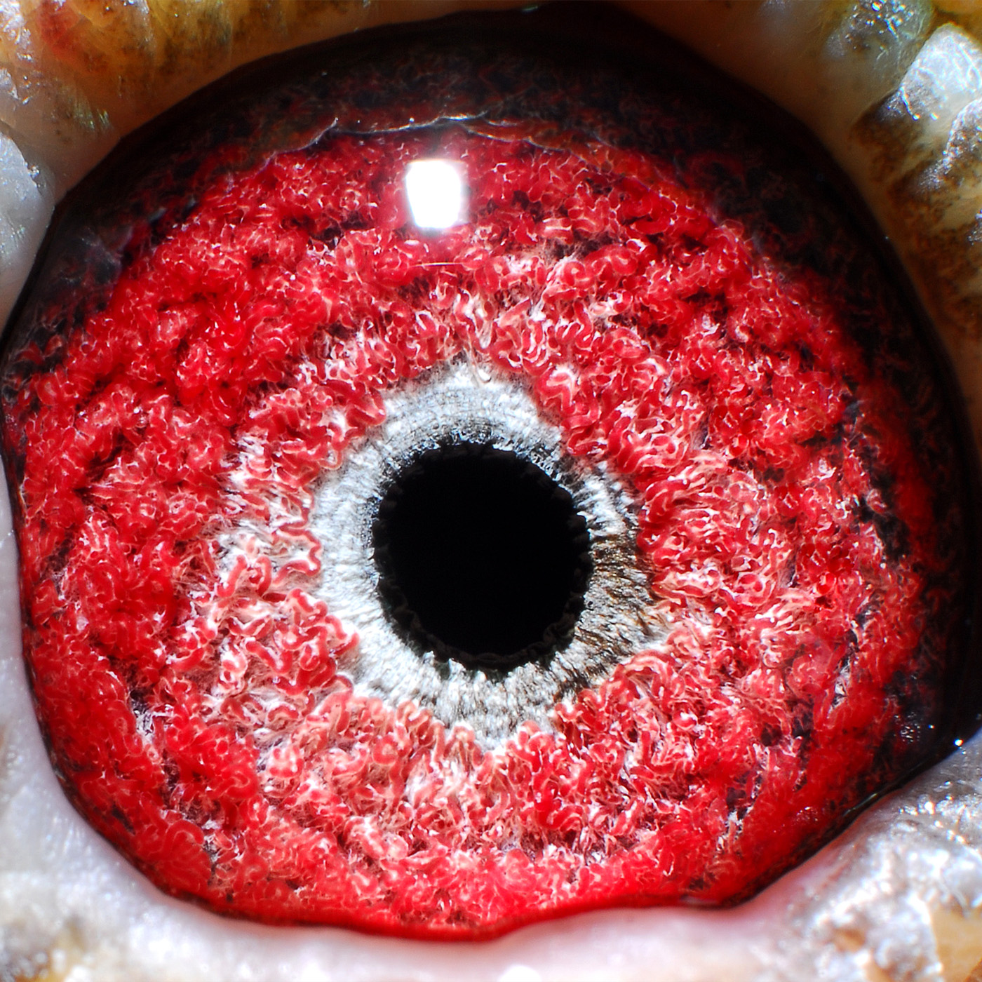 ����û�˿��ۣ�