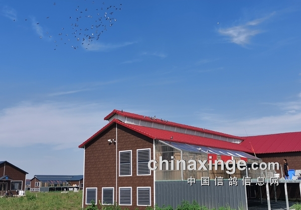 ��ʯ���� ��ζ���� 2021��ʮ���Ŷ�����չ��