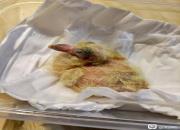 ������� 23���������ռ�