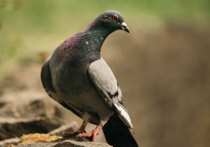 ǳ�顰��ѧ���롱