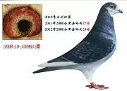 ����������µ��ˡ���Զ�����Ѧ����