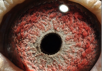 �����������һ�� �����������