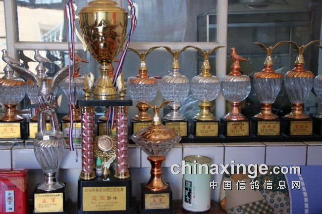 ר��������������ҵ�������ҹ���