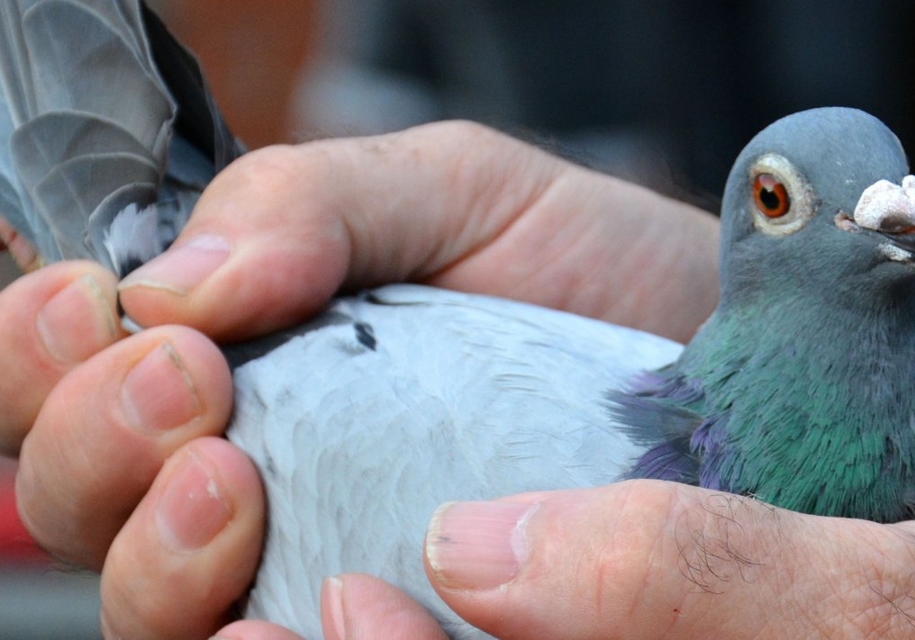 ����ʱ���յ�2.4���� �ھ��ּ�����