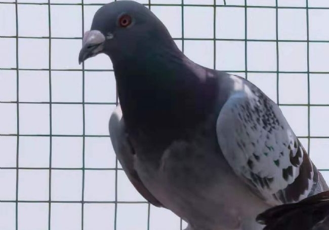 90����Ů����Ѱҽ���������Ÿ�ľ���