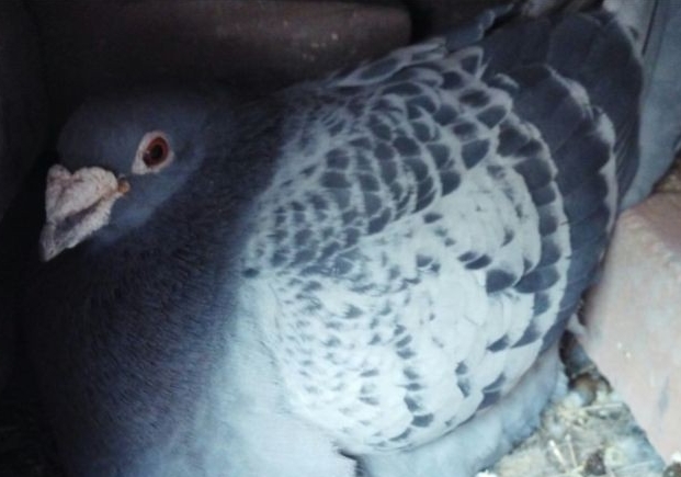 12������۸���������⾪ϲ 