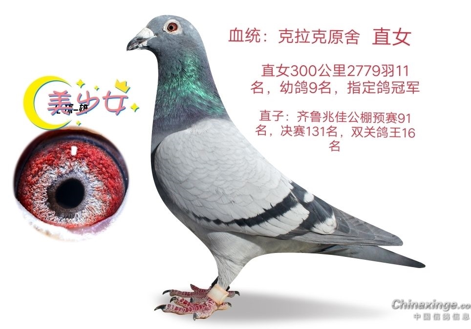 �����˼��� �μӹ��ﲻ���߿�