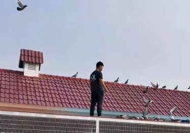 专访金翔家园团队：比赛大包揽成常态化