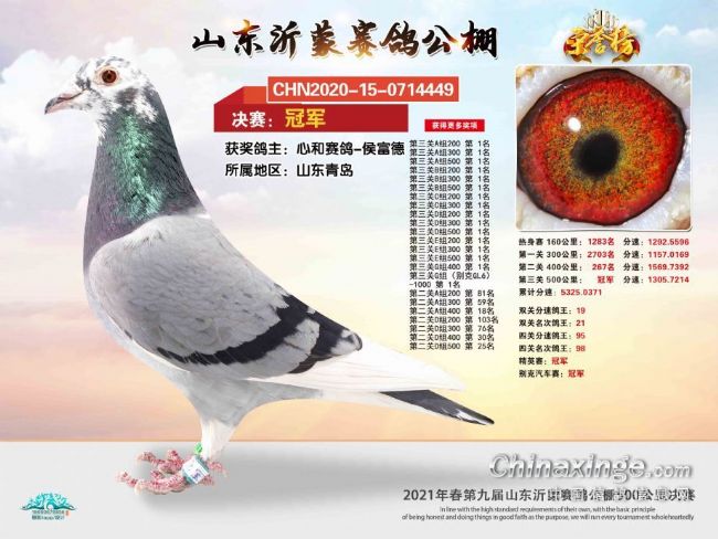 ��ɫ���Ǵ�˵�ĸ��С����ӡ����ǹھ����ߣ�