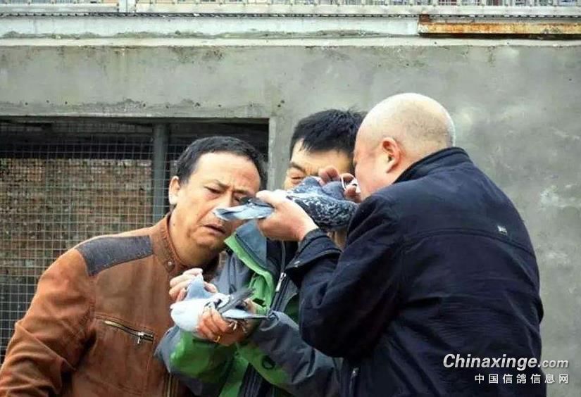 ���˻��Ǽ��룿