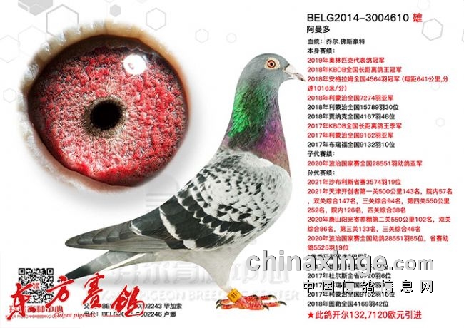 ��ΰ��ʾ����������ھ�����������*�½�ķ�Ӵ�һ��