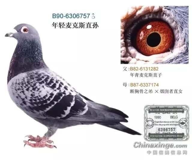 ղɭ���������˹��������Ƭ����