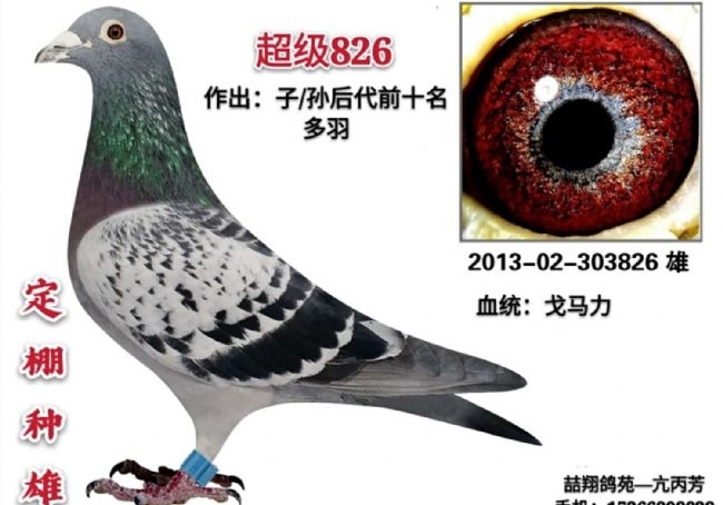 2021��������� �������ָ��