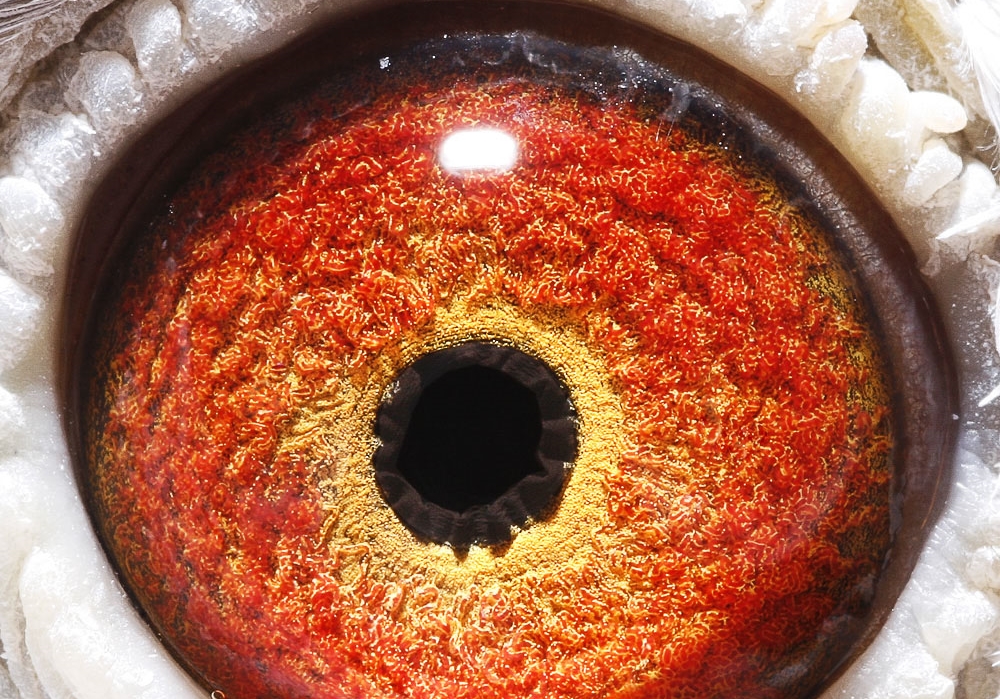 ����������Ļ��� �����׾߱�����Щ���ܣ�