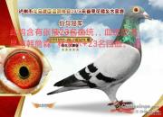 ����Զ��һ��Ѫ ��ƽ��Ҳ�ܷɳ��óɼ�