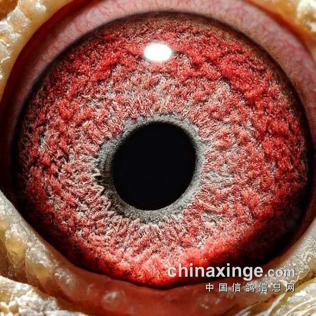 ������ʶ�ھ� Ԫ��������ô����һ��