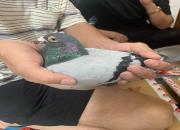 ʮ��Ԫ���ֱ��� ����ƾ��һ����ë���ư�