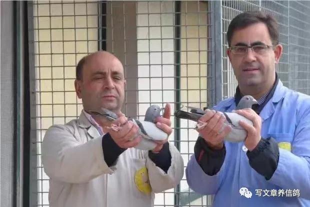 �������ڶ����ᡱ����ս��