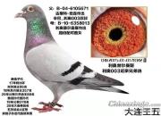 �����Ӵ�ȫ�������߼����ۣ�����342