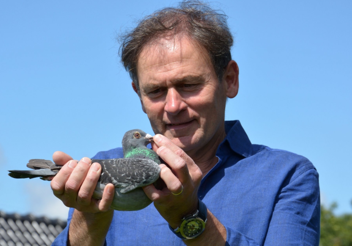 Ҳ˵��˹���ڣ��ѵ������м���������