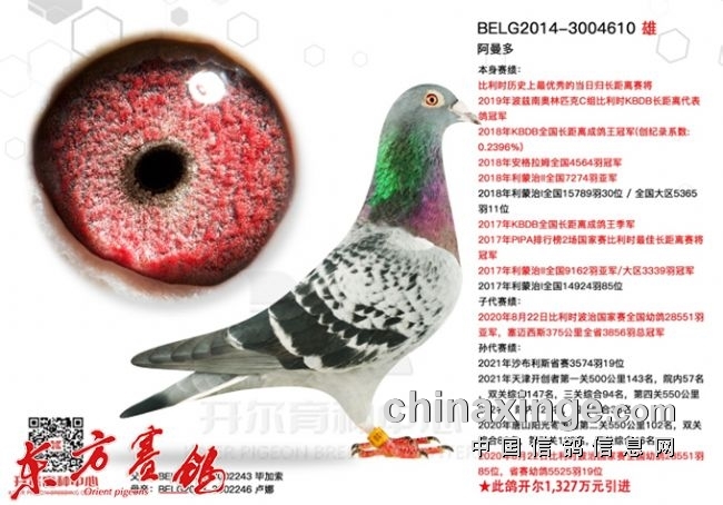 �����������ٴ��Ի�