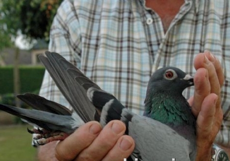 ����³1.2����Ұ� �ھ������ˡ����߷��ٹ���