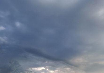 ��δѵ�� �״�ֱ�ϰٹ��� �ܹ鳲��