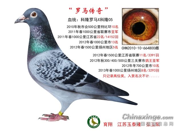 ȫ���������롰�������桱 �����̸߽�λ��һȱϯ