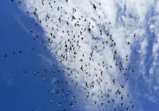 ���ﴺ�����������������ɶ��������ԭ��