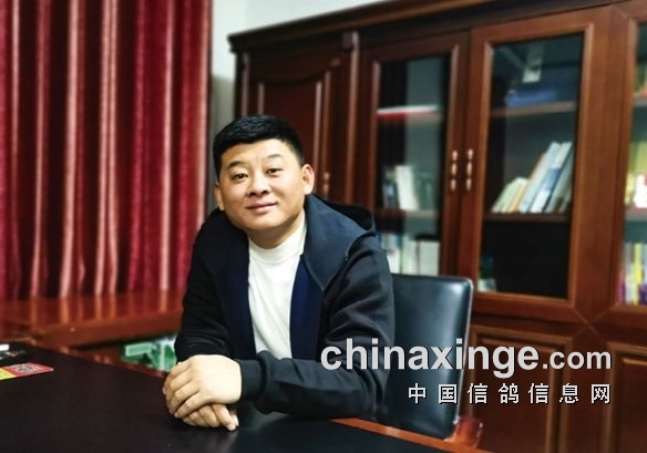 无名英雄九代发挥 塑造山东舜峰鸽业