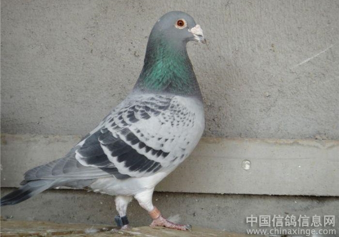 һ��������������Ʒ