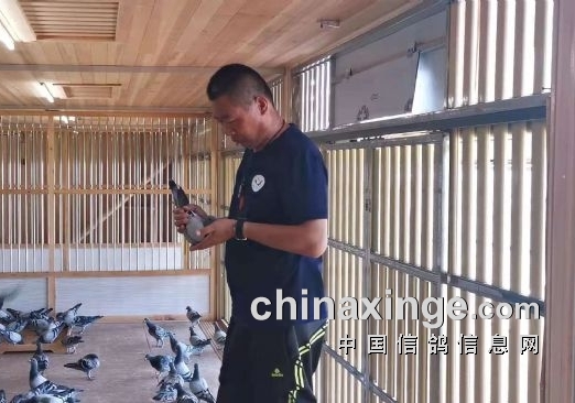 脚上粘上粪一辈子放不下 访神齐鸽堂团队