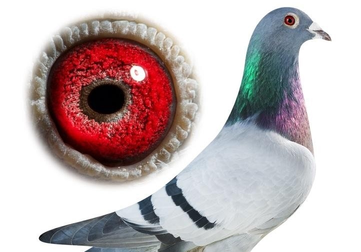 ����ӵ�кø��� ��Ҫ������׼��
