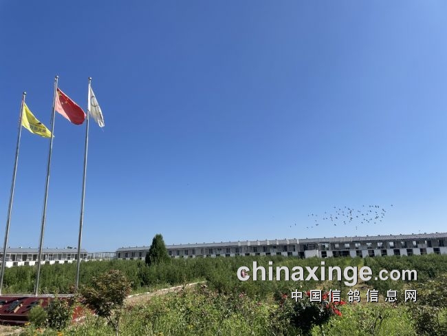 �빫���������飬������ɱ���ӣ�