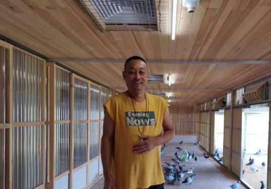 勇夺职业四关鸽王冠军 专访内蒙银和战队