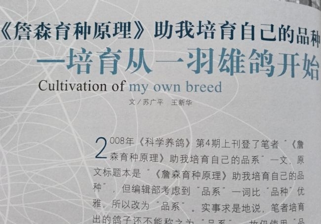 ���ۻ����Դƶ���̿���ʽ�������ַ���