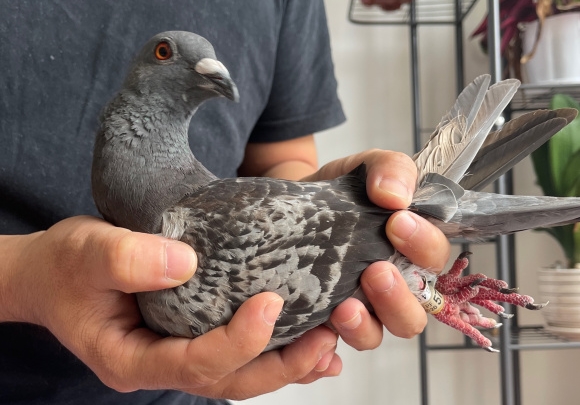 ʱ������ �ֿ�ʼ��̨����