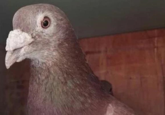 �ҵĺ�����